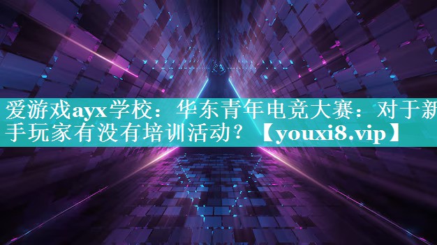 爱游戏ayx学校：华东青年电竞大赛：对于新手玩家有没有培训活动？